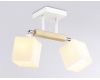 Потолочный светильник Ambrella Light Traditional TR9511