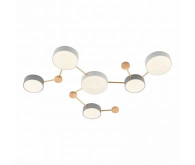 Купить Потолочный светильник Evoluce Dossena SLE600102-06 Потолочный светильник Evoluce Dossena SLE600102-06