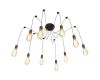 Люстра-паук LOFT IT Spider Loft1162/10