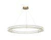 Подвесная люстра ST Luce Fagy SL6245.213.01