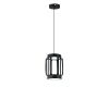 Подвесной светильник Indigo Capsula 14027/2P Black V000155L
