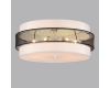 Потолочный светильник Lumion Animaisa 8002/6C