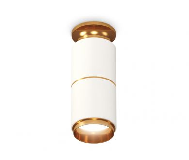 Купить Потолочный светильник Ambrella Light Techno Spot XS6301260 (N6905, C6301, A2062, N6124) Потолочный светильник Ambrella Light Techno Spot XS6301260 (N6905, C6301, A2062, N6124)