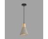 Подвесной светильник Lumion Suspentioni Eoliana 8351/1B