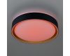 Потолочный светильник Citilux Boss CL751251G