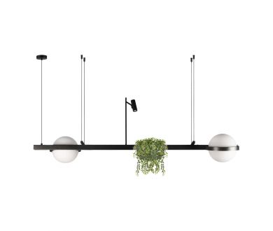 Купить Подвесной светильник Loft IT Jardin 10121/D Подвесной светильник Loft IT Jardin 10121/D