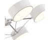 Потолочный светильник Evoluce Valle SLE6005-502-05