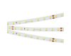 Светодиодная лента Arlight RT-A80-8mm 24V Day4000 (6 W/m, IP20, 2835, 50m) 024524(2)