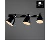 Спот Arte Lamp 48 A5049PL-3BK