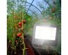 Фитопрожектор для растений ЭРА FITO-50W-Ra90-LED Б0047875