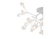 Потолочная люстра Freya Florencia FR5049CL-27W1