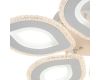 Потолочный светильник Escada Diamond 10264/5LED