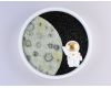 Настенный светильник Ambrella Light Wallers FW11101