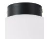 Потолочный светильник Lightstar Globo 812037