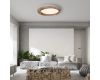 Потолочный светильник ImperiumLoft Runis 219477-26
