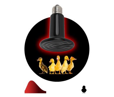 Купить Инфракрасная лампа Эра FITO-200W-НQ Б0059885 Инфракрасная лампа Эра FITO-200W-НQ Б0059885