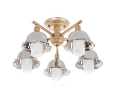 Купить Потолочная люстра MyFar Lisa MR1481-5C Потолочная люстра MyFar Lisa MR1481-5C