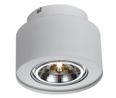Купить Потолочный светильник Arte Lamp Cliff A5643PL-1WH Потолочный светильник Arte Lamp Cliff A5643PL-1WH