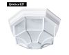 Уличный светильник Arte Lamp Pegasus A3100PL-1WH