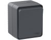 Переключатель 1-клавишный 10 АХ Systeme Electric AtlasDesign Profi54 Наруж Антрацит ATN544061