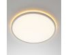 Потолочный светильник Citilux Norma LED RGB CL749400