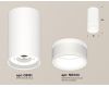 Потолочный светильник Ambrella Light Techno Spot XS8161005 (C8161, N8444)