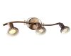 Спот Arte Lamp Focus A5219PL-3BR