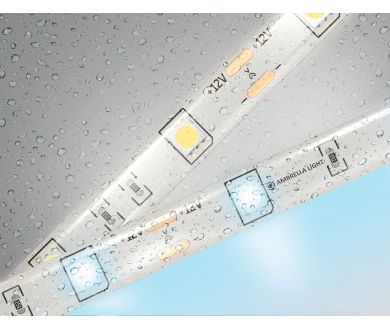 Купить Светодиодная лента Ambrella Light LED Strip 12В 5050 7,2Вт/м 6500K 5м IP65 GS1903 Светодиодная лента Ambrella Light LED Strip 12В 5050 7,2Вт/м 6500K 5м IP65 GS1903