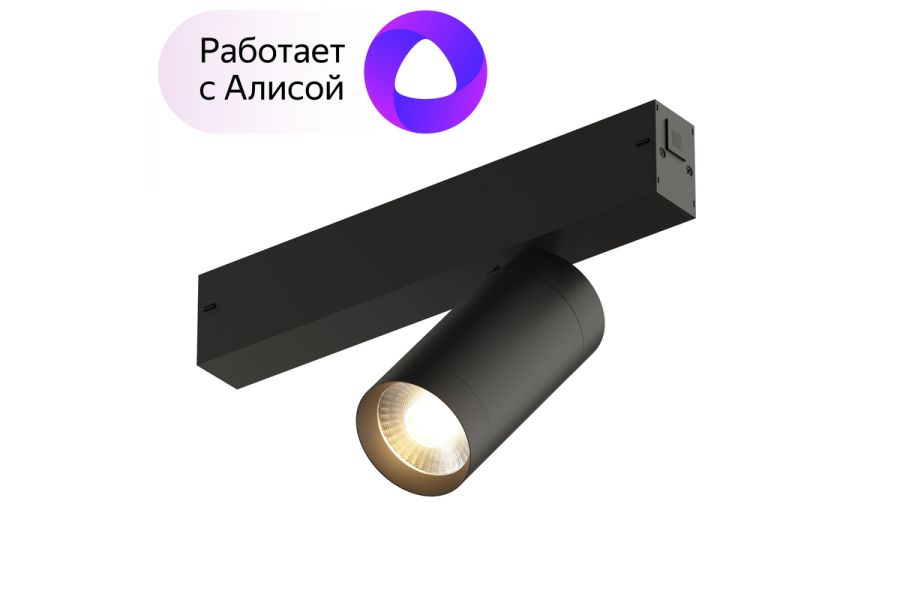 Трековый светильник Denkirs DK8010-BK