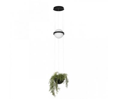 Купить Подвесной светильник Loft IT Jardin 10121/B Подвесной светильник Loft IT Jardin 10121/B