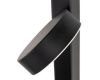 Настенный светильник Arte Lamp Mirach A2142AP-10BK