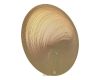 Настенный светильник ST Luce Fossil SL6900.501.16