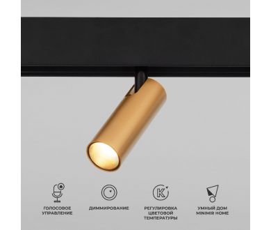 Купить Трековый магнитный светильник Elektrostandard Slim Magnetic 4690389195280 a063529 Трековый магнитный светильник Elektrostandard Slim Magnetic 4690389195280 a063529