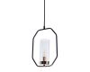 Подвесной светильник Arte Lamp Celaeno A7004SP-1BK