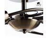 Потолочная люстра Arte Lamp 3 A6056PL-5AB