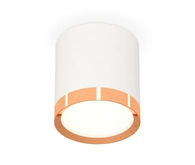 Купить Потолочный светильник Ambrella Light Techno Spot XS8141005 (C8141, N8126) Потолочный светильник Ambrella Light Techno Spot XS8141005 (C8141, N8126)
