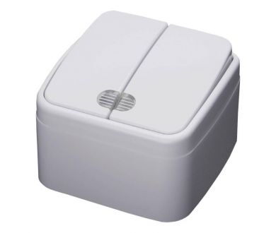 Купить Выключатель двухклавишный Feron Stekker Basic с подсветкой PSW103220 39030 Выключатель двухклавишный Feron Stekker Basic с подсветкой PSW103220 39030