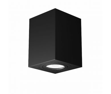 Купить Потолочный светильник Maytoni Alfa C017CL-01B Потолочный светильник Maytoni Alfa C017CL-01B