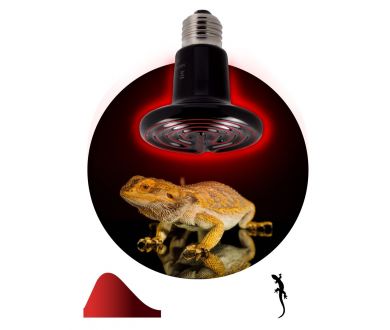 Купить Инфракрасная лампа для брудера, рептилий Эра CeramiHeat FITO-100W-НQ Б0052715 Инфракрасная лампа для брудера, рептилий Эра CeramiHeat FITO-100W-НQ Б0052715
