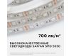 Светодиодная лента Apeyron 12В 14,4Вт/м smd5050 60д/м IP65 1м RGB 260BL
