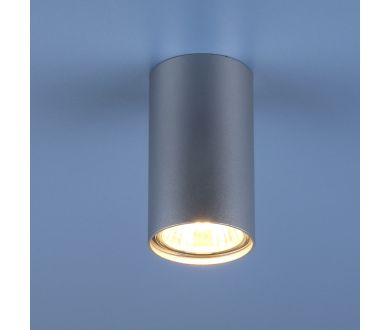 Купить Потолочный светильник Elektrostandard 1081 5257 GU10 SL серебро 4690389104381 Потолочный светильник Elektrostandard 1081 5257 GU10 SL серебро 4690389104381