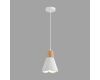 Подвесной светильник Lumion Suspentioni Eoliana 8352/1B