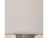 Торшер Arte Lamp RODOS A2589PN-1SS