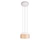 Подвесной светильник LOFT IT Totem 10466P Amber matte