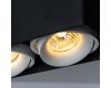 Потолочный светильник Arte Lamp Pictor A5654PL-2BK