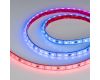 Светодиодная герметичная лента Arlight DMX-PS-B60-12mm 12V RGB-PX3 (14 W/m, IP67, 5060, 5m) 039605