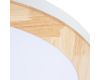 Потолочный светодиодный светильник Arte Lamp Luce A2685PL-72WH