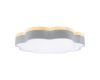 Потолочный светильник Loft IT Axel 10225/36 Grey