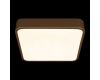 Потолочный светильник Loft IT Flims 10228/C