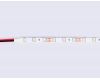 Светодиодная лента Ambrella Light LED Strip 12В 2835 4,8Вт/м 6500K 5м IP20 GS1003